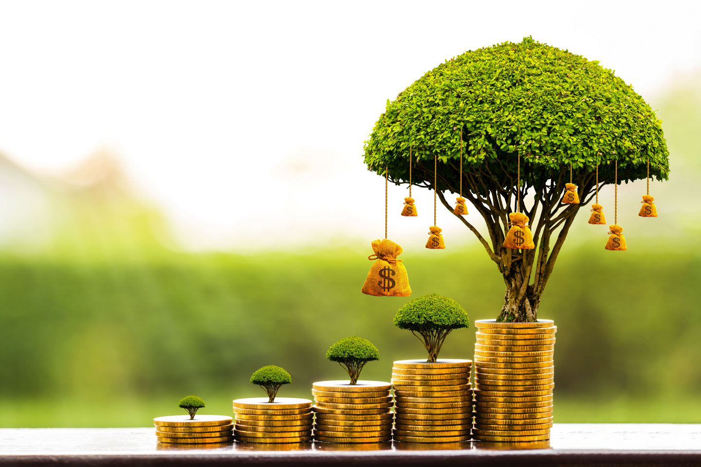 Stacking gold coins and money bag of tree with growing put on th man working